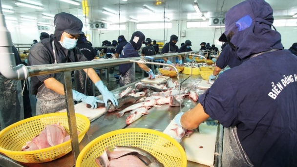 Vietnamese seafood has the opportunity to increase market share in the US